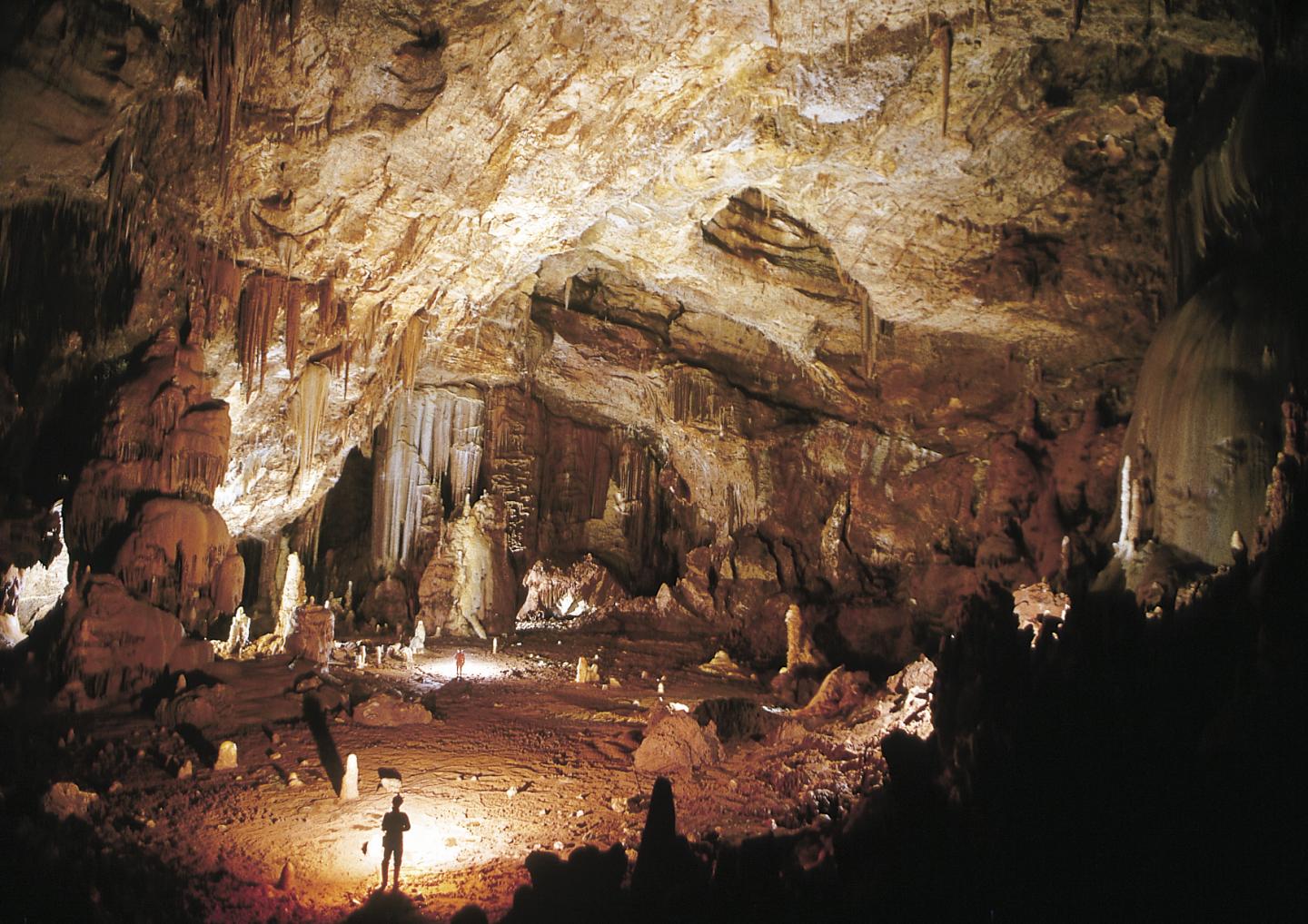 Visite historique de l'aven Passerelles patrimoines Ardèche